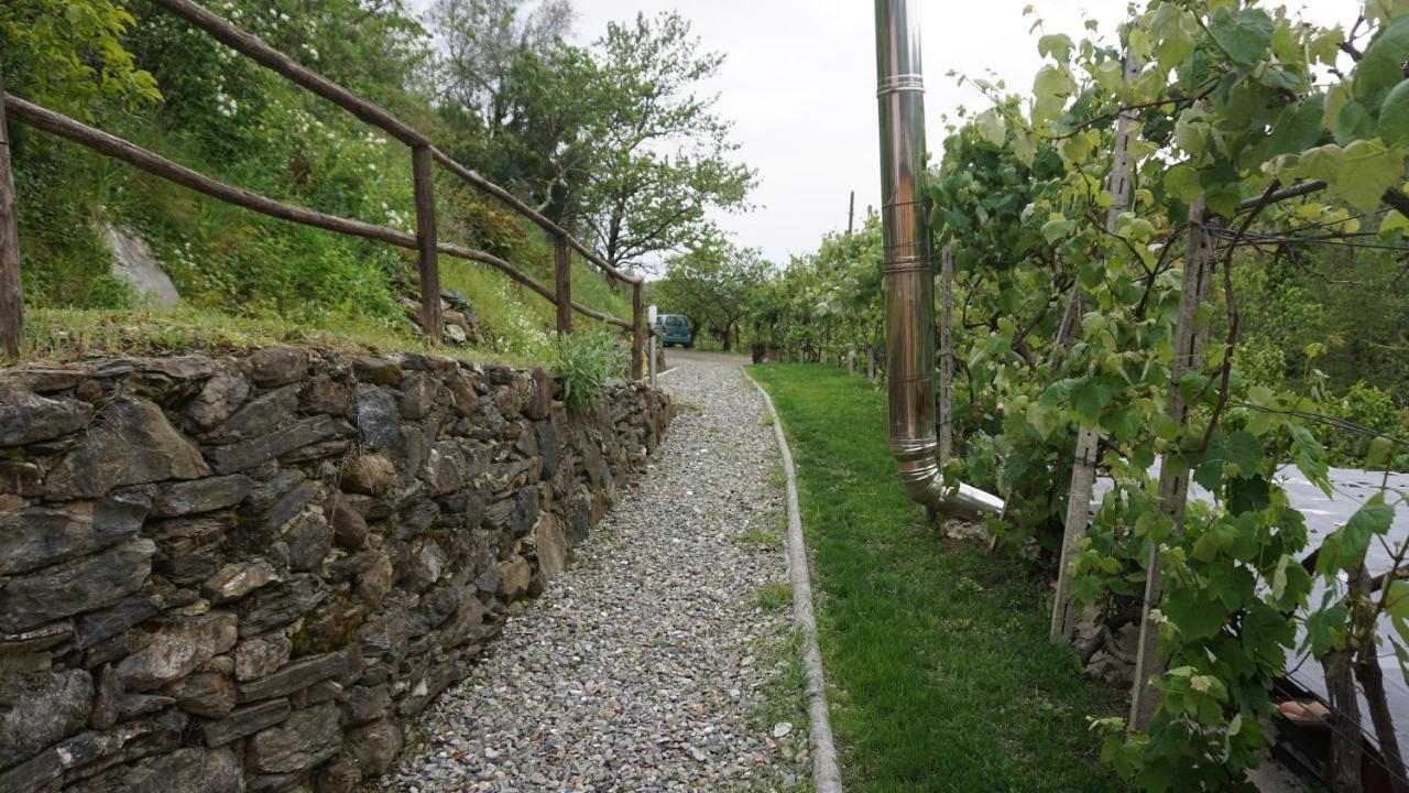 Agriturismo U Muinettu Специя Экстерьер фото